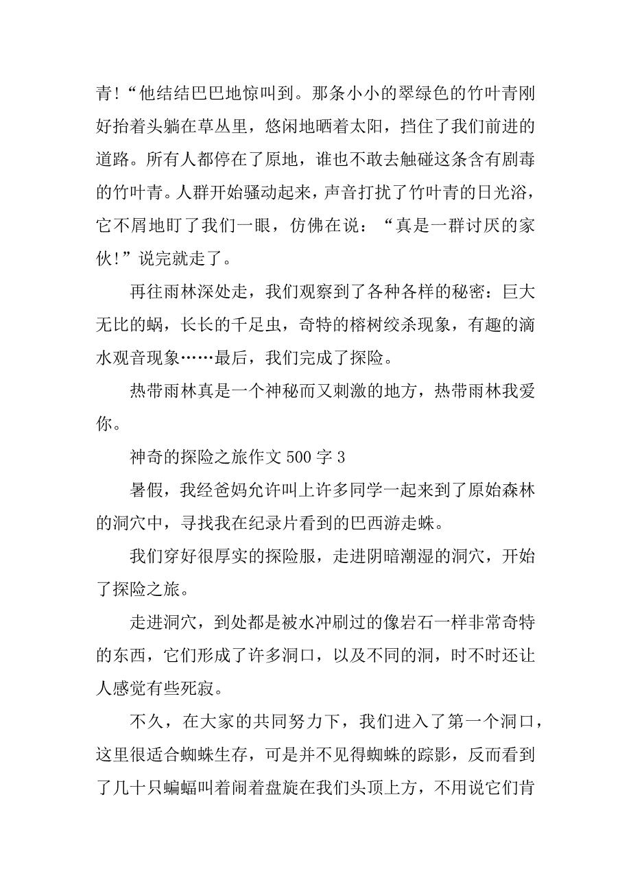 2023年神奇的探险之旅作文500字最新10篇_第3页