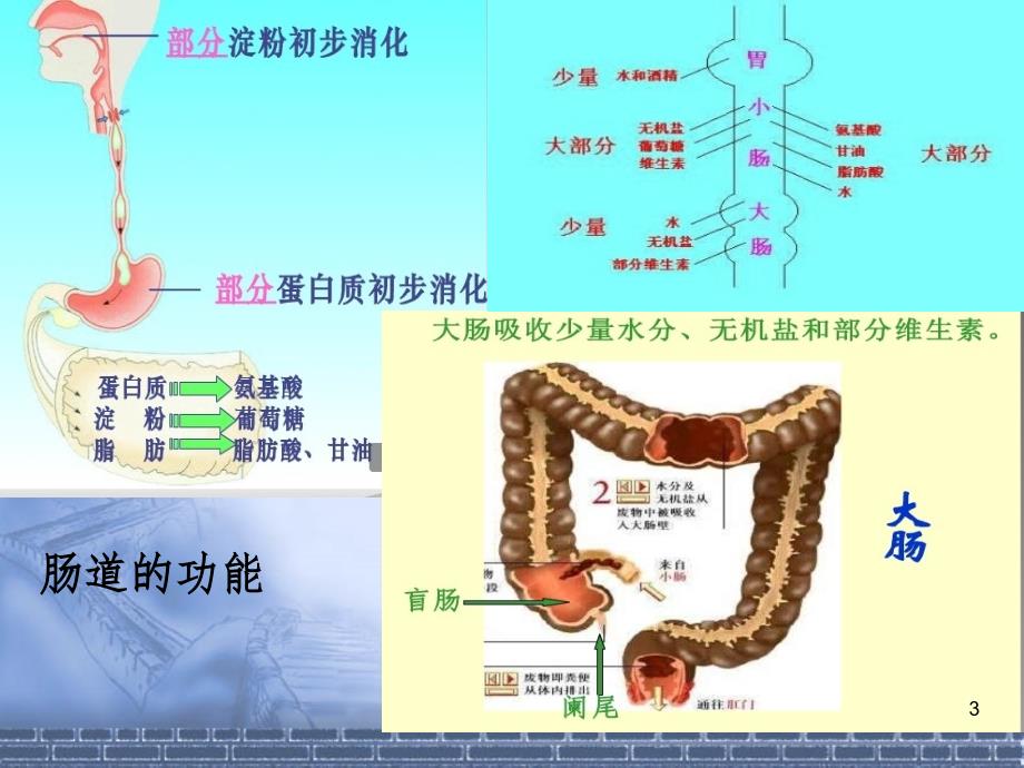 肠梗阻的治疗PPT精品文档_第3页