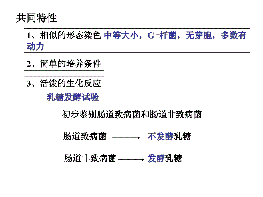 医学微生物学：第九章 肠道杆菌_第3页