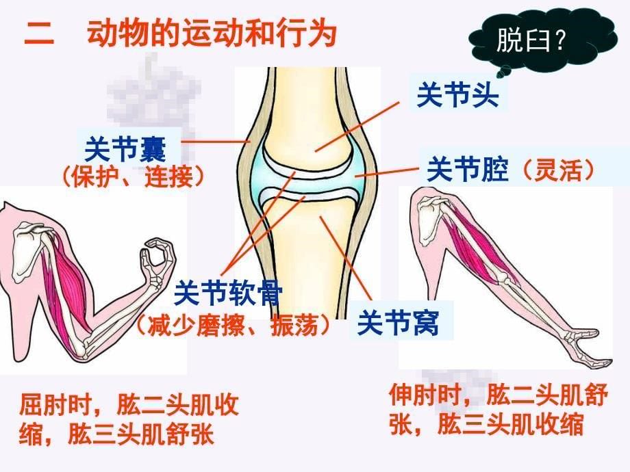 第五单元生物圈中的其生物_第5页