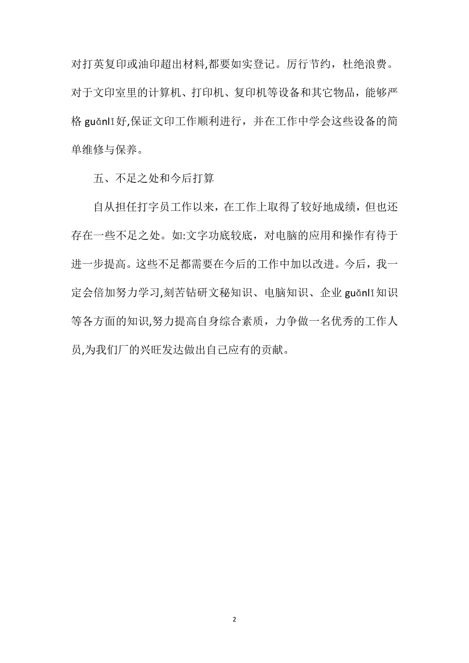 打字员试用期工作总结模板_第2页