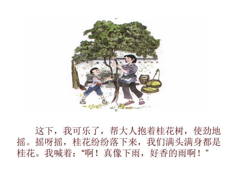 《桂花雨》课件【13页】_第5页