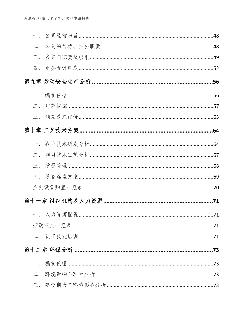 揭阳显示芯片项目申请报告（模板范本）_第4页