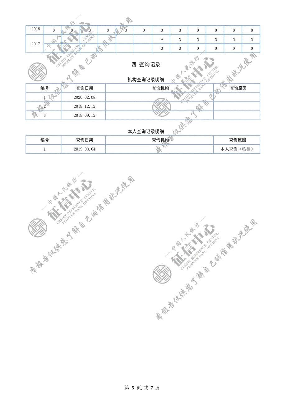 版个人征信报告模板,2020年,word版,可编辑,带水印_第5页