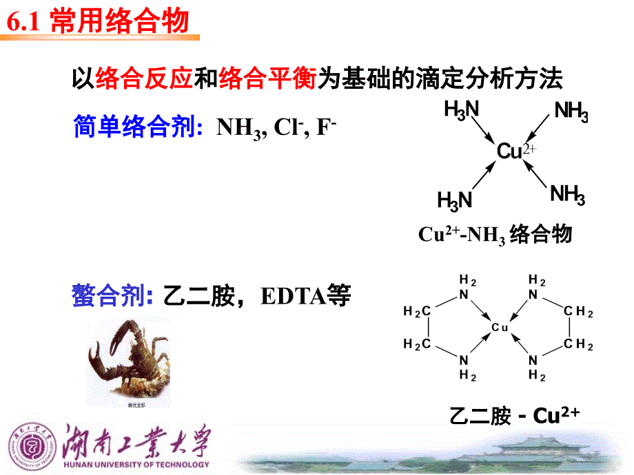 次课络合平衡和络合滴定法_第3页