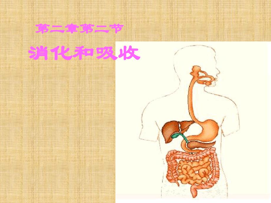 初中七年级生物下册422消化和吸收名师优质课件3新人教版_第1页