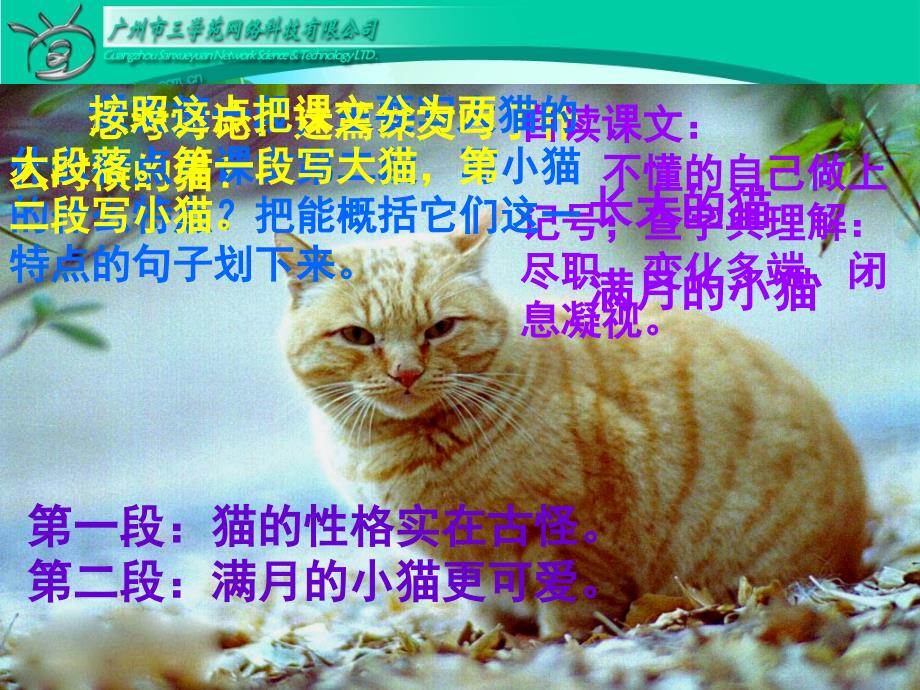 《猫》课件 (4)_第4页