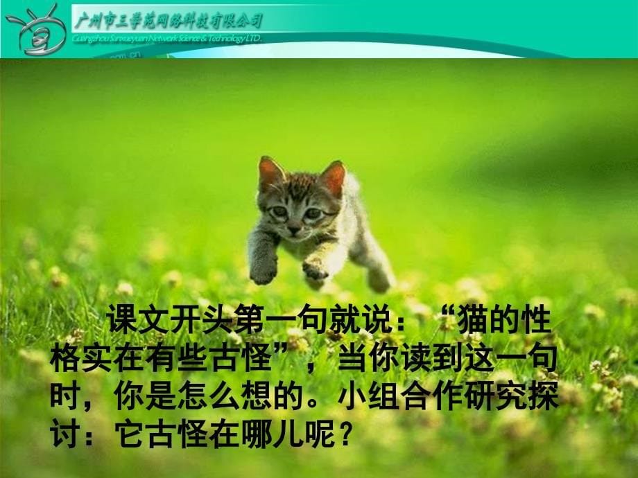 《猫》课件 (4)_第5页