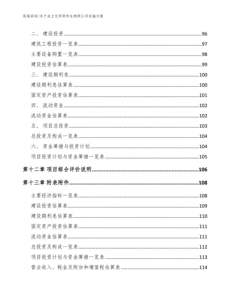 关于成立化学药和生物药公司实施方案（范文参考）_第5页