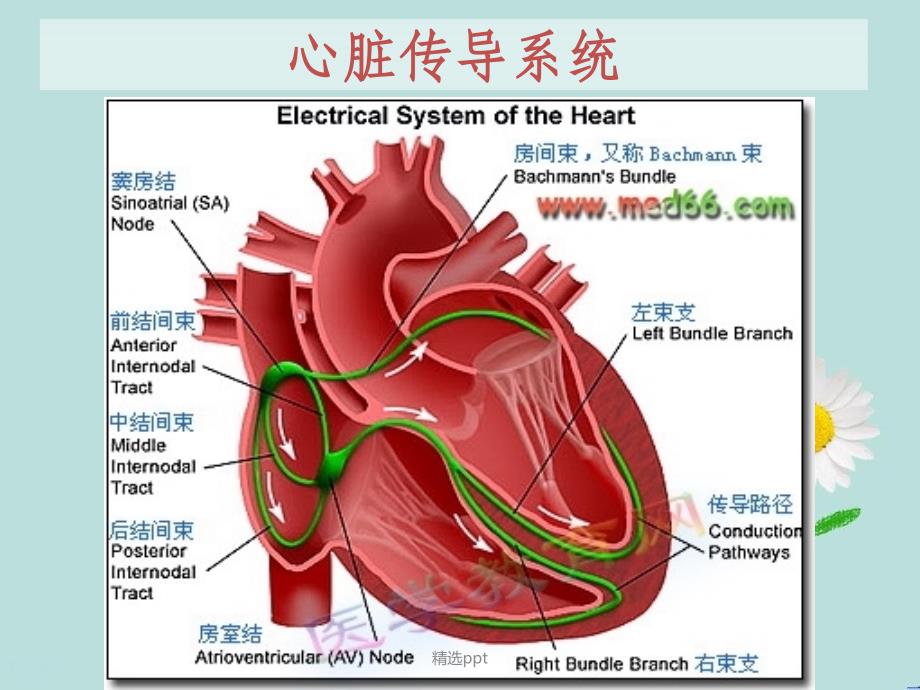 射频消融术的护理_第3页