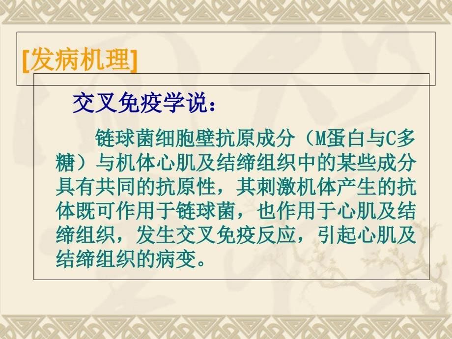 最新心血管1风湿病、心瓣膜病PPT文档_第5页