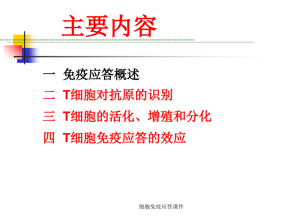 细胞免疫应答课件_第2页