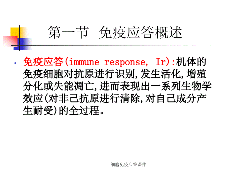 细胞免疫应答课件_第3页