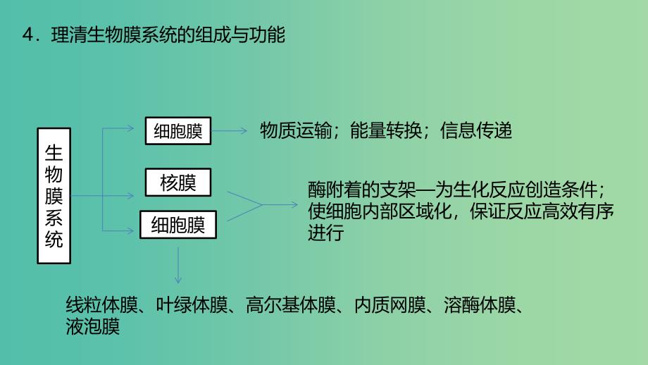 高考生物二轮复习专题1细胞的物质结构基础第2讲细胞的结构和功能及物质运输课件.ppt_第4页