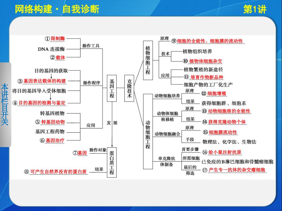 轮基因工程和细胞工程_第4页