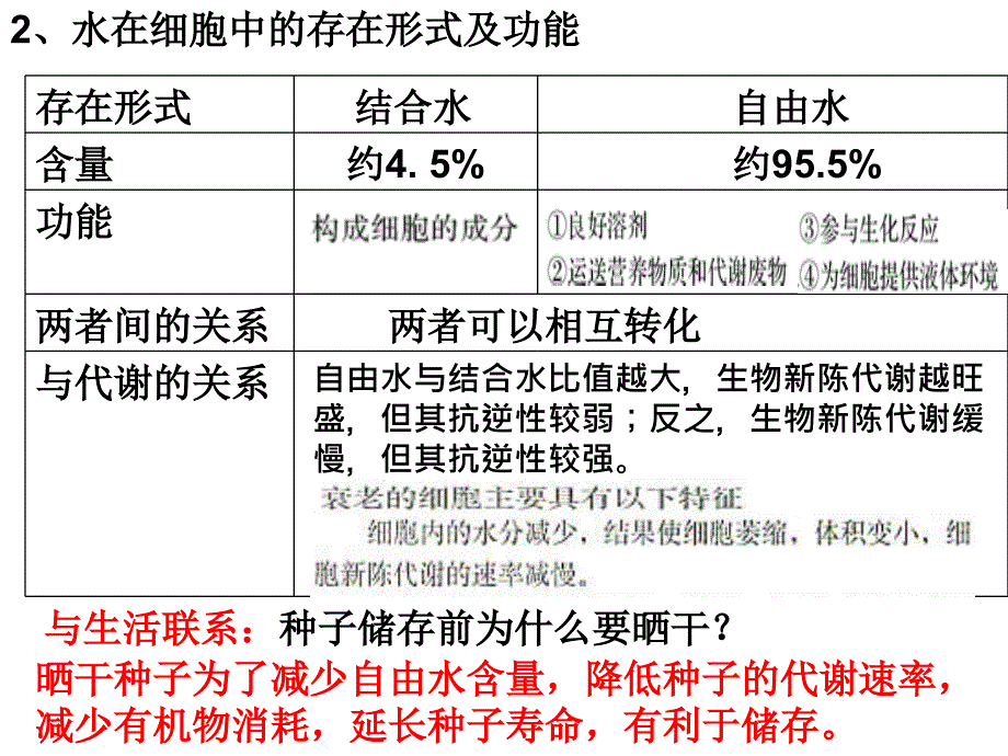 人教版高三生物二轮复习-微专题—水课件_第3页