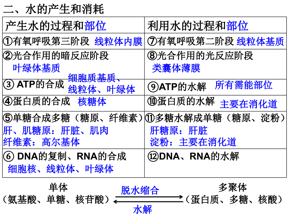 人教版高三生物二轮复习-微专题—水课件_第4页