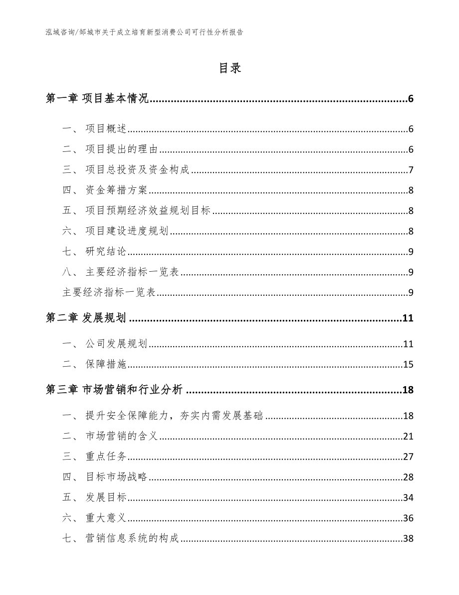 邹城市关于成立培育新型消费公司可行性分析报告_第1页