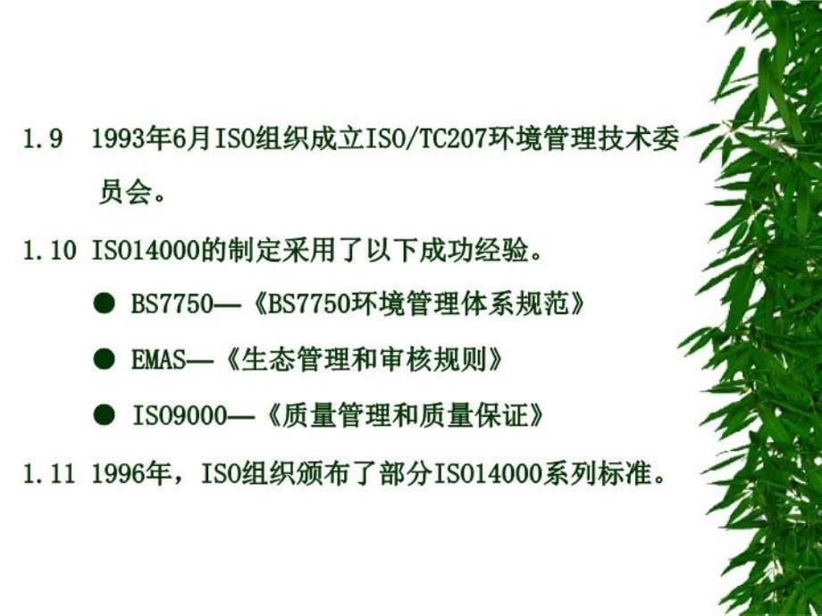 iso14001环境体系培训资料_第5页