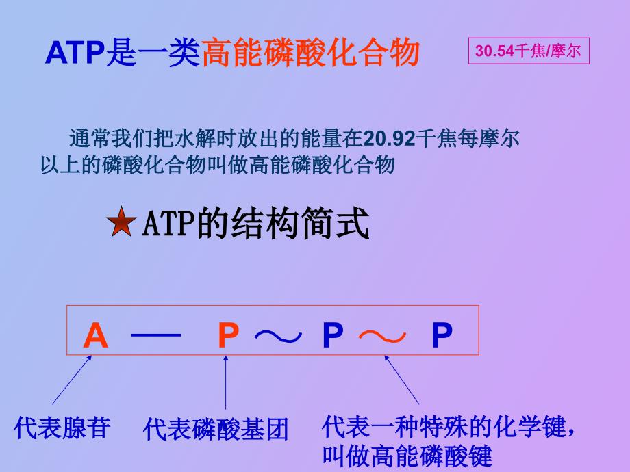 轮复习细胞的代谢酶A_第4页