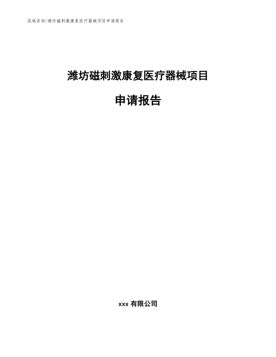 潍坊磁刺激康复医疗器械项目申请报告（范文模板）_第1页