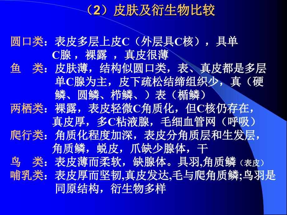 动物器官比较_第3页