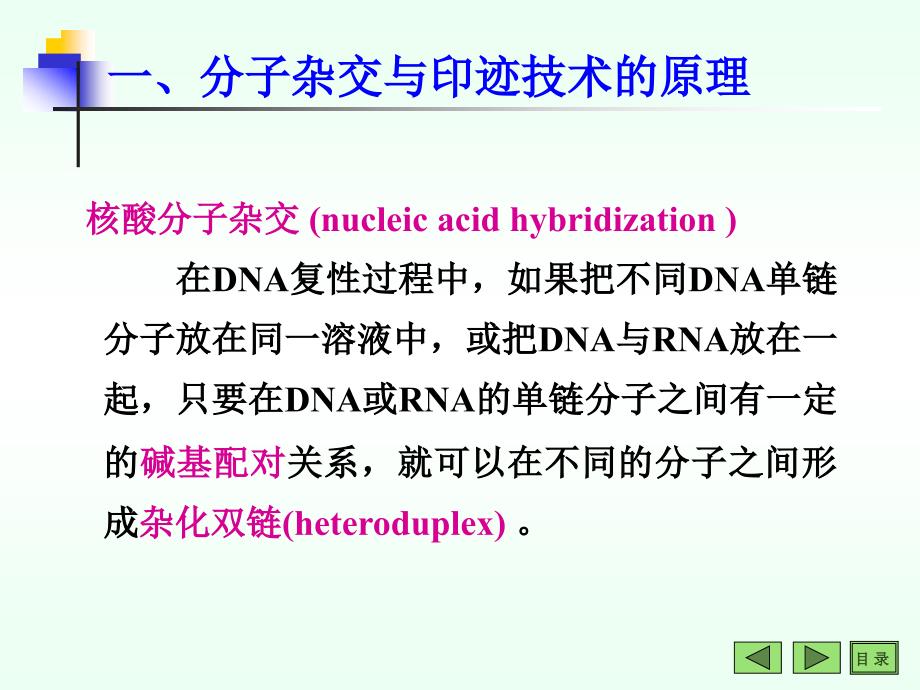 生物化学教学课件：15常用技术_第3页