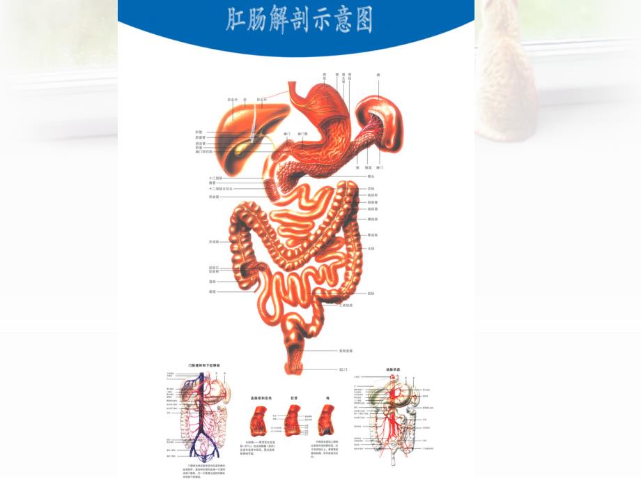 《各种灌肠法》PPT课件_第2页