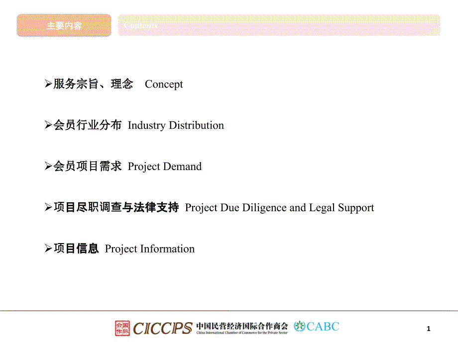 加强国际合作促进项目服务EnhancingInternationalCooperat_第2页