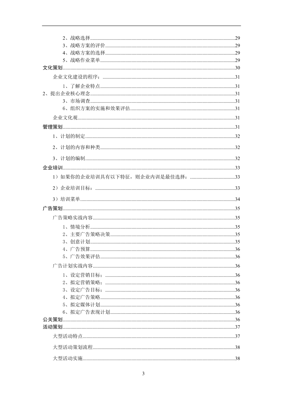 品牌全案策划.doc_第3页