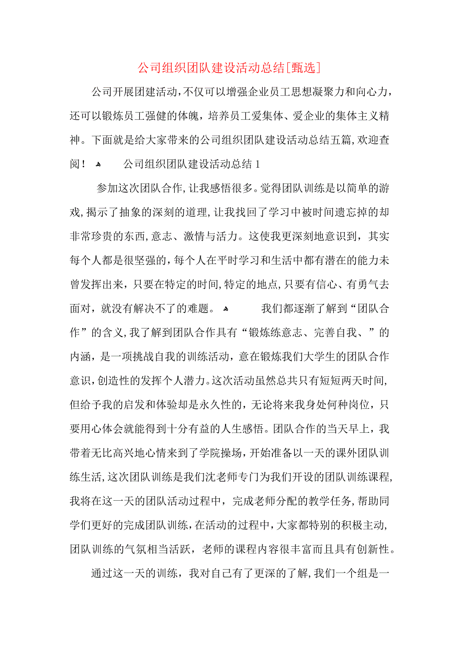 公司组织团队建设活动总结_第1页