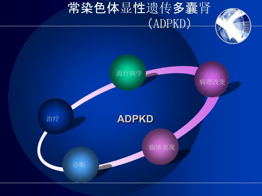 常染色体显性遗传多囊肾病囊肿去顶减压术价值的探讨_第4页