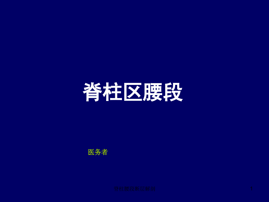 脊柱腰段断层解剖课件_第1页