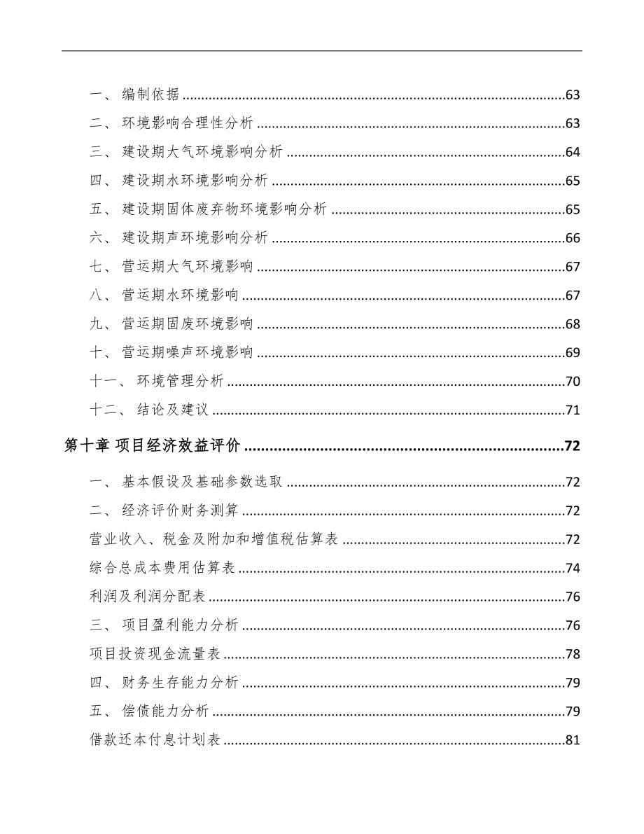 杭州关于成立织带公司可行性研究报告范文(DOC 77页)_第5页