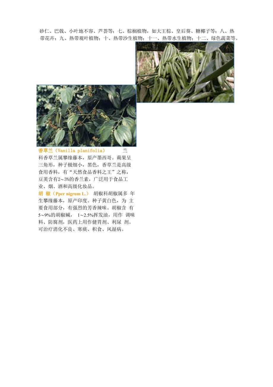 海南植物的多样性_第2页