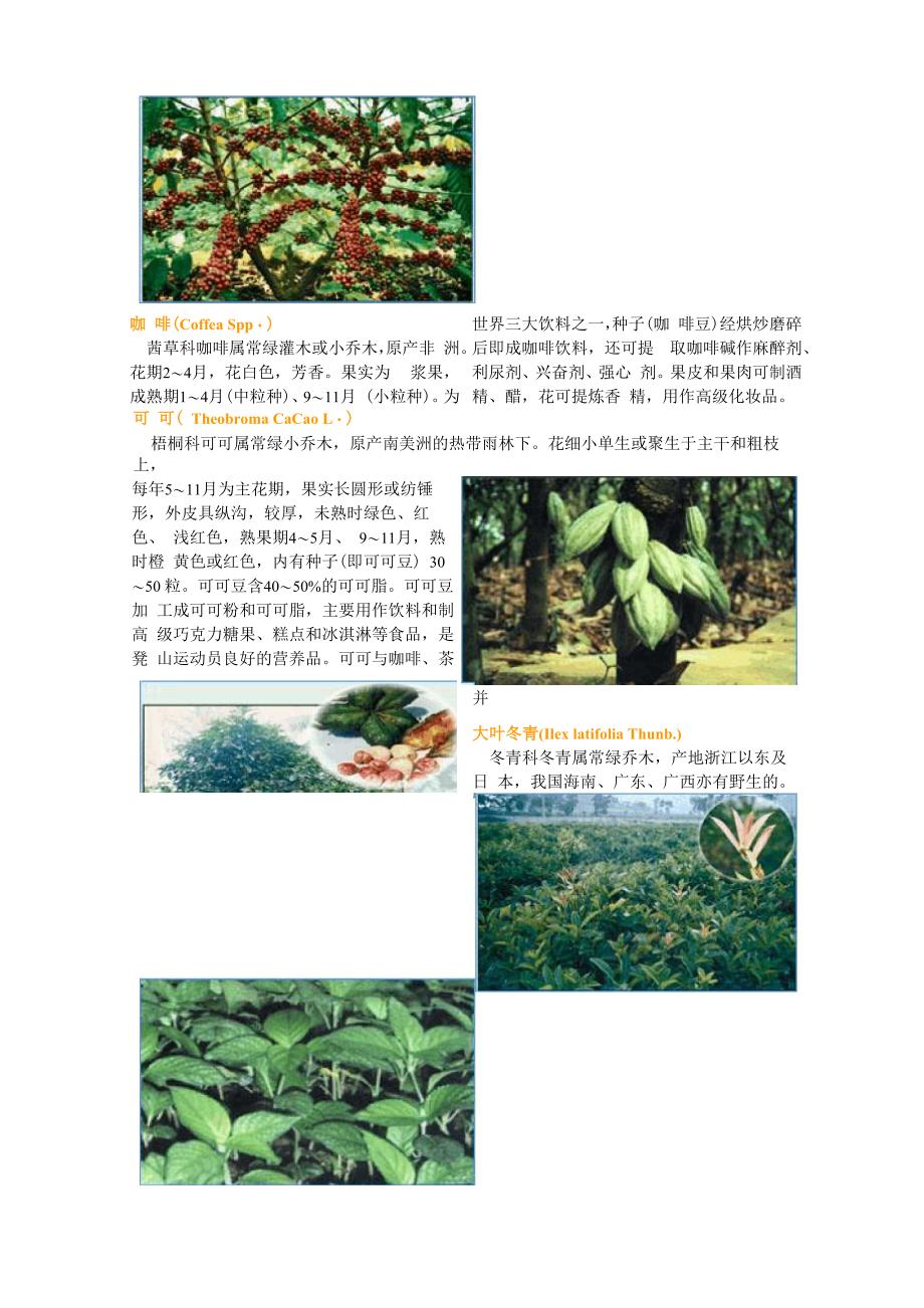 海南植物的多样性_第3页
