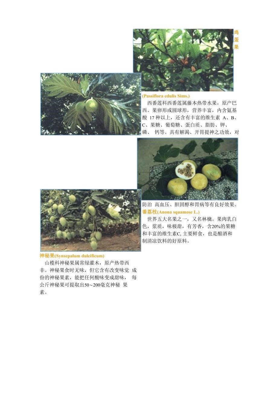 海南植物的多样性_第5页