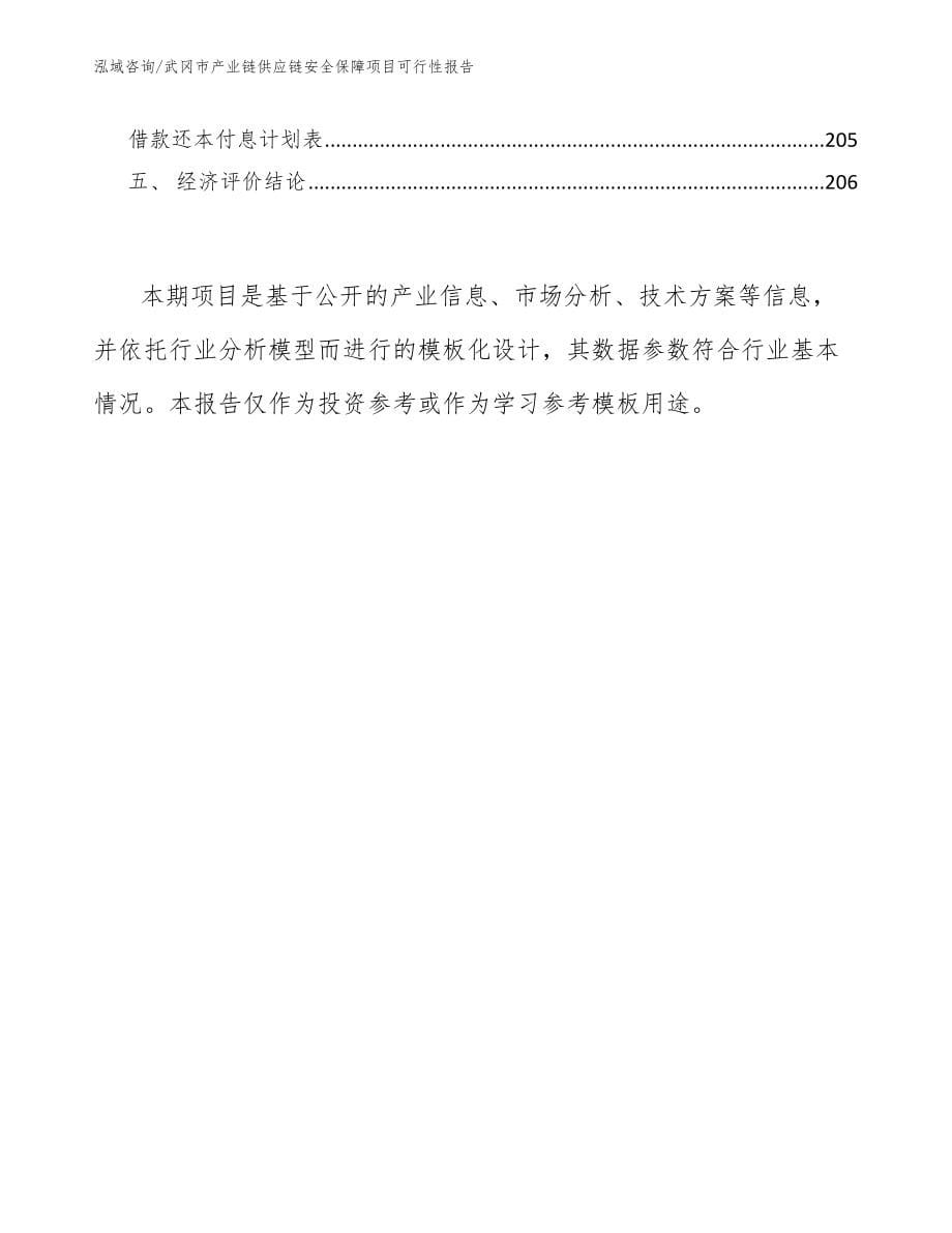 武冈市产业链供应链安全保障项目可行性报告（参考模板）_第5页