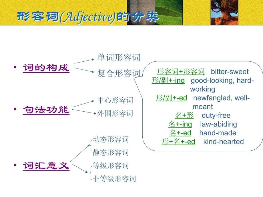 形容词和形容词短语的用法_第5页