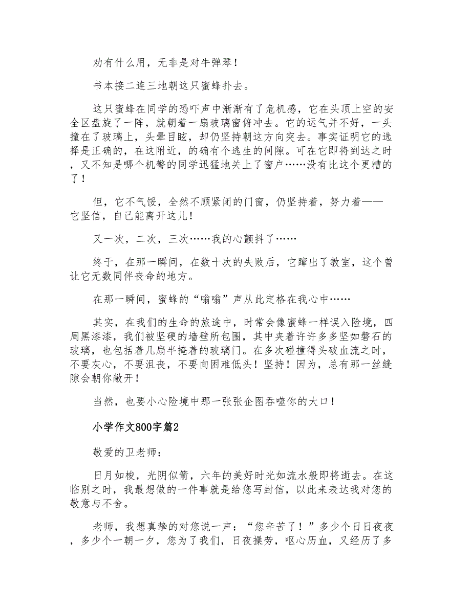 2022精选小学作文800字集合七篇_第2页