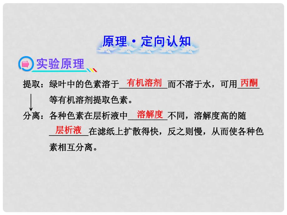 高中生物 1.4.边做边学提取和分离叶绿体中的色素课件 苏教版必修1_第2页