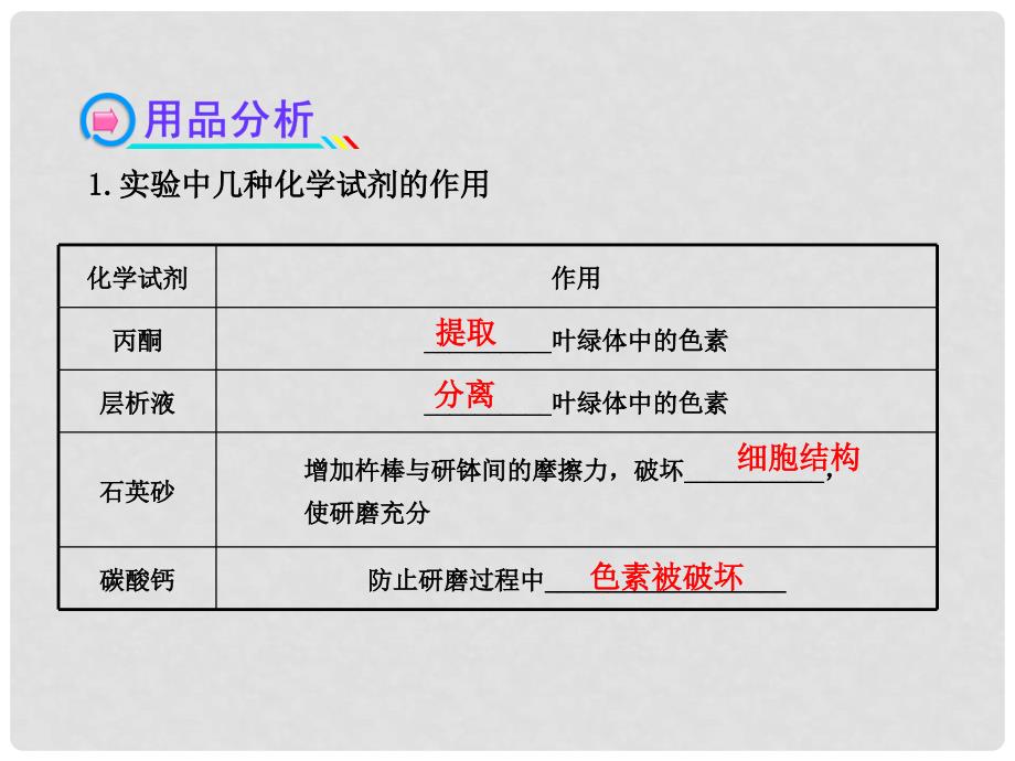 高中生物 1.4.边做边学提取和分离叶绿体中的色素课件 苏教版必修1_第3页