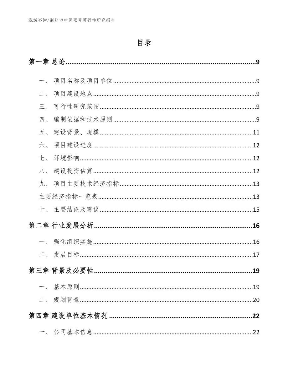 荆州市中医项目可行性研究报告（范文模板）_第2页