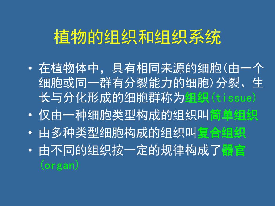 植物的组织和组织系统课件_第1页