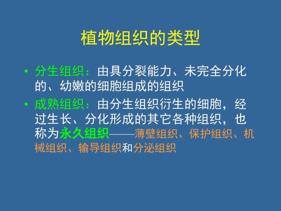 植物的组织和组织系统课件_第2页