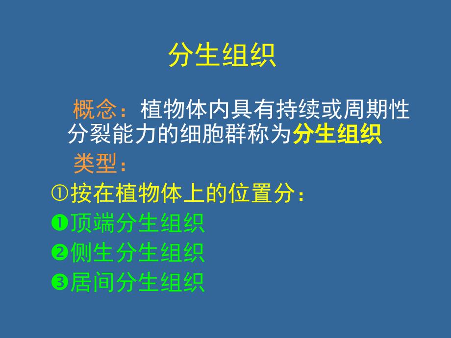 植物的组织和组织系统课件_第3页