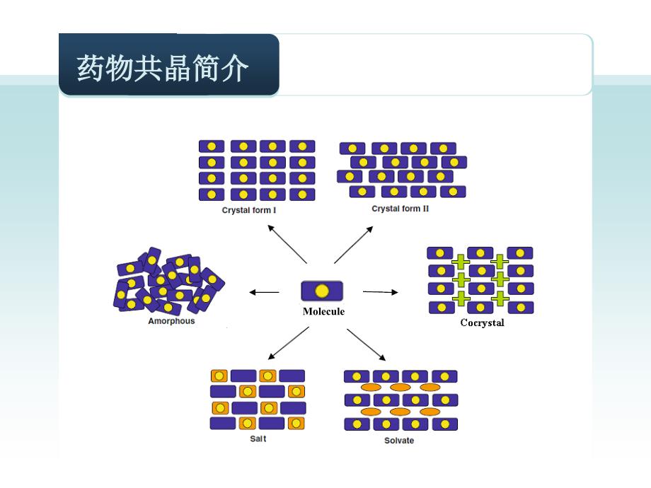 药物共晶概述学术报告_第3页