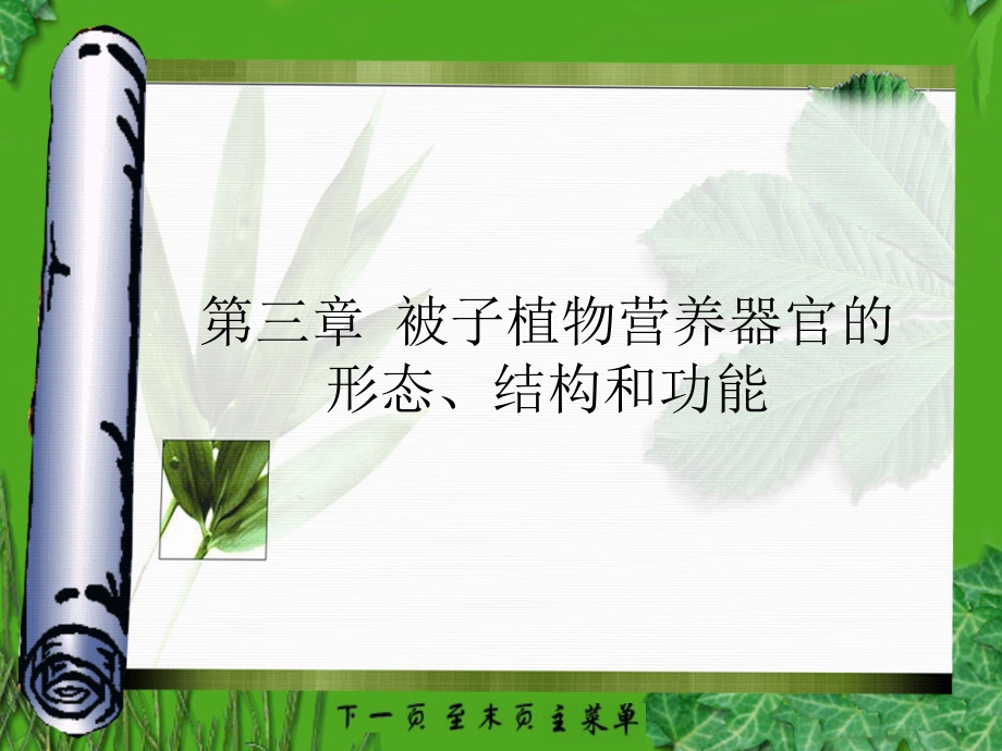 植物学课件：第三章 被子植物营养器官的形态、结构和功能_第1页