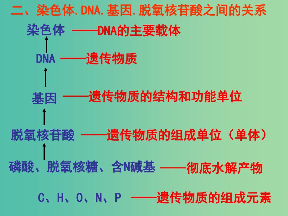 高中生物 3.3 基因是有遗传效应的DNA片段课件 新人教版必修2.ppt_第4页