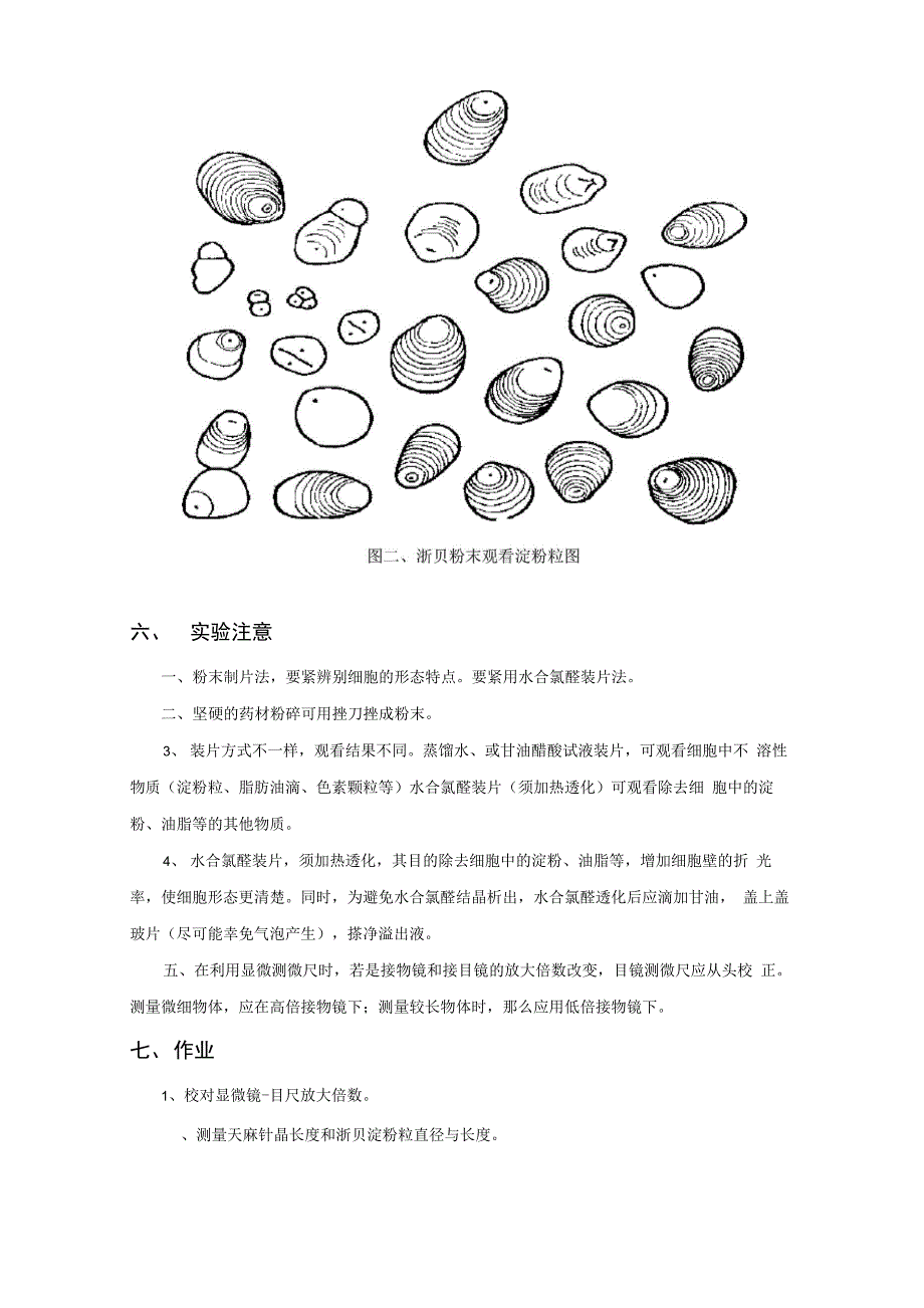 中药鉴定实验_第3页